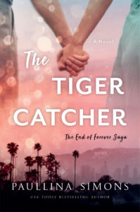 Tiger Catcher by Paullina Simons
